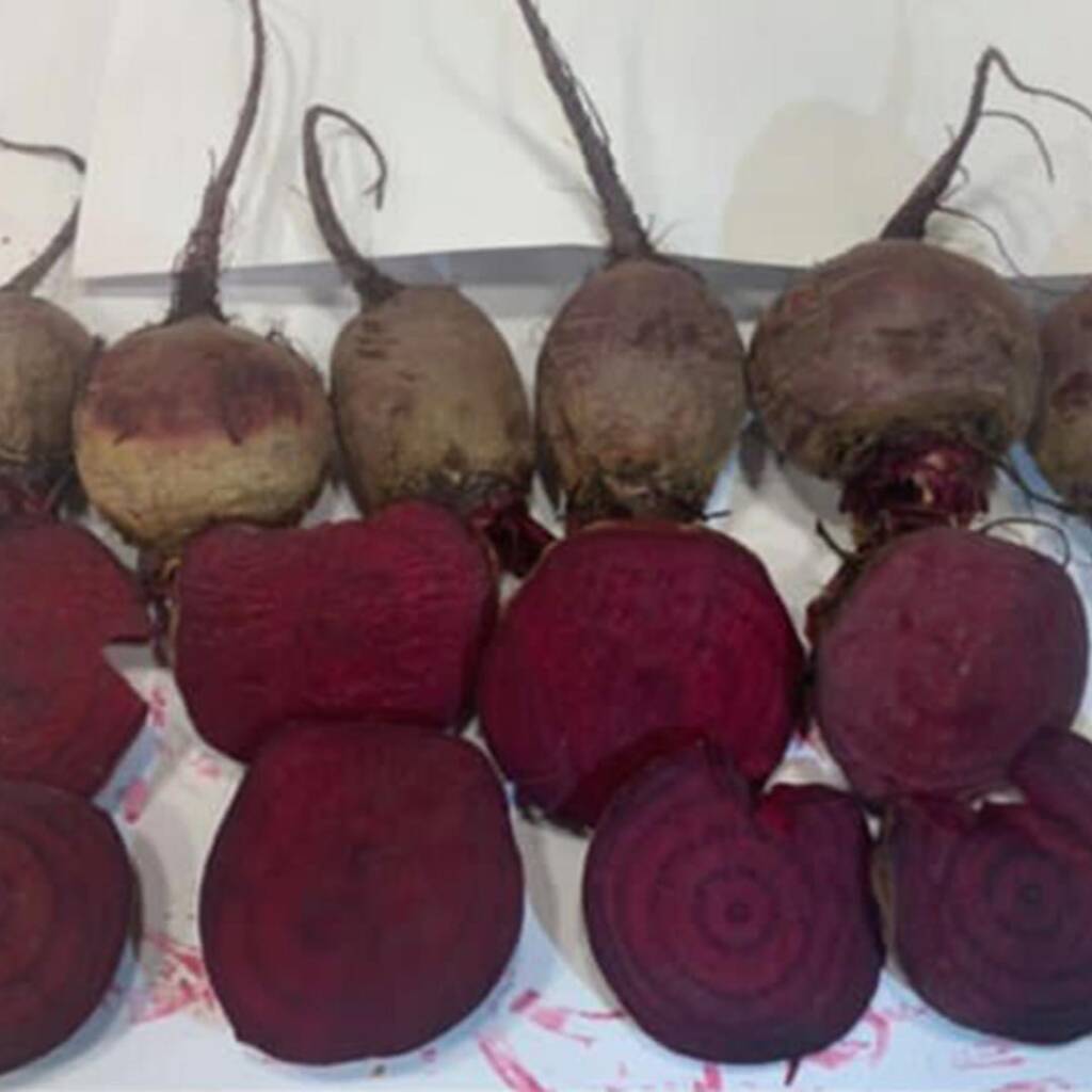 Beetroot seeds Red Beauty F1