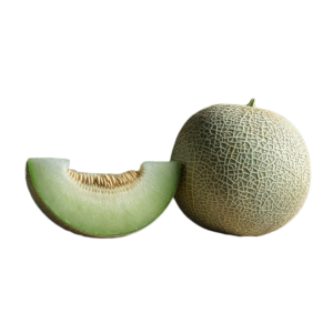 Cantaloupe Seeds Exelor F1