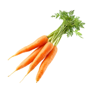 Carrot Seeds – Kuroda