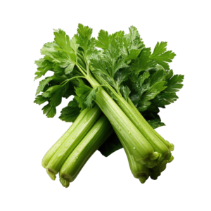 Premium Celery Seeds