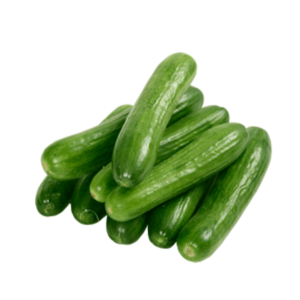 Yazeed F1 Cucumber Seeds