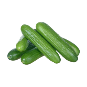 Cucumber Seeds SK42 F1
