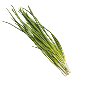 Onion Seeds – Totem F1