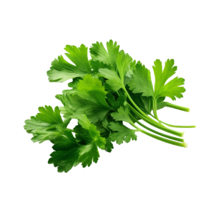 Celery Seeds