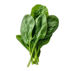 Spinach Artemis F1