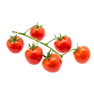 بذور طماطم 023 F1