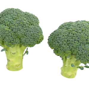Broccoli Naxos F1