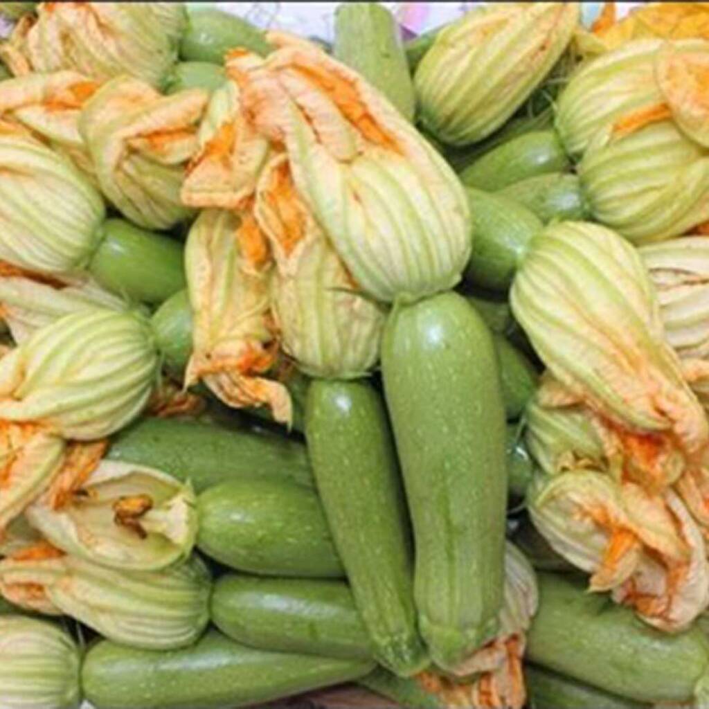 بذور كوسة ازياد F1