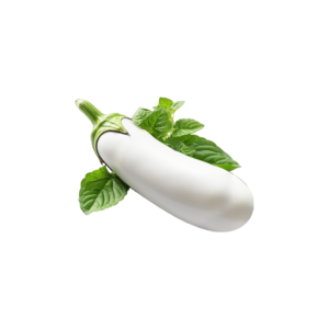 Eggplant Seeds Rahma F1