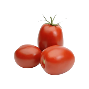 Tomato Seeds 023 F1