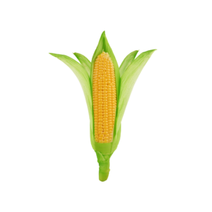 Sweet Corn Seeds – Honey Sweet F1