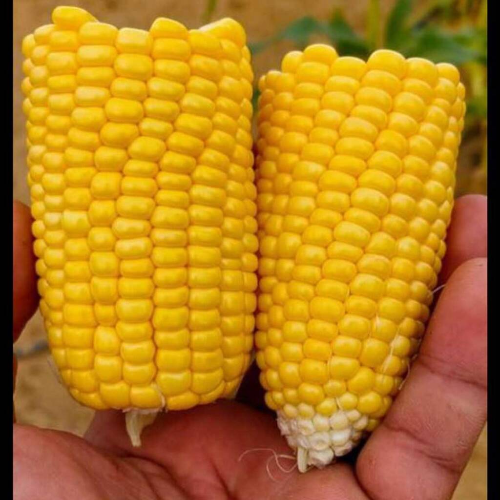 ذره