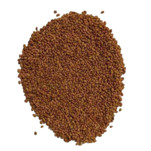 Alfalfa Seeds – Australian Silver