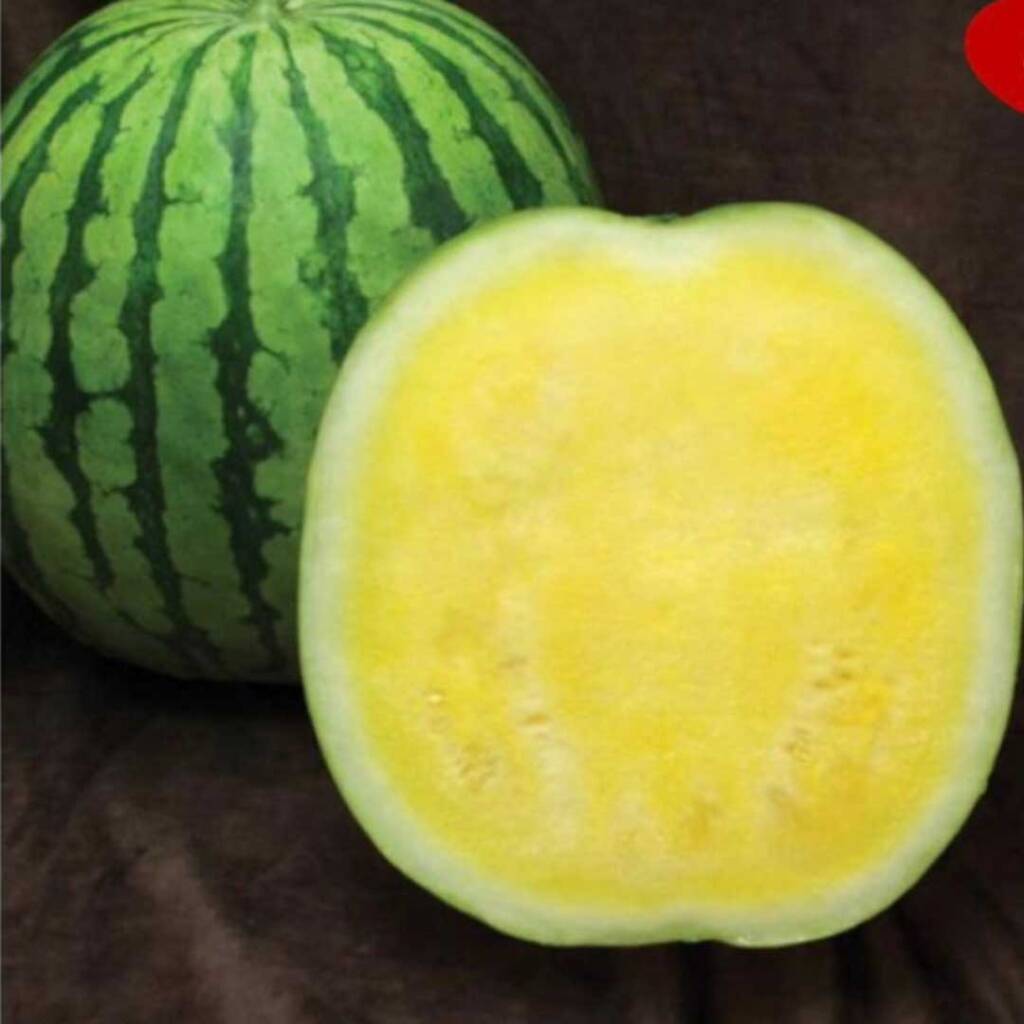 بطيخ اصفر جودة عالية