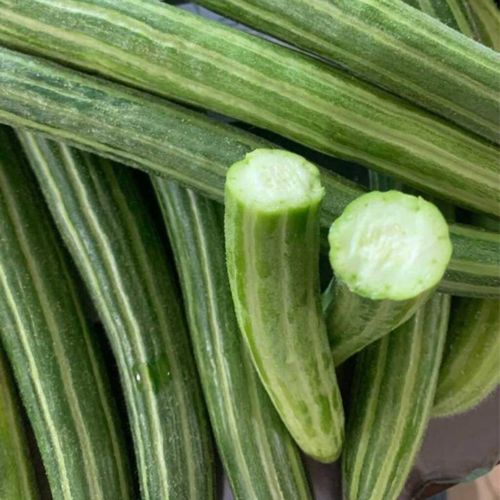 قثاء