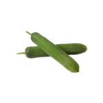 زراعة ارضية