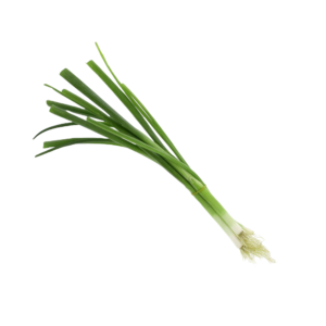 Green Onion Seeds F1